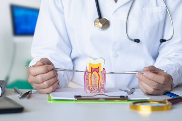 Best Emergency Tooth Extraction in Johnson Creek, WI